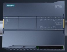 P；某些形态反馈